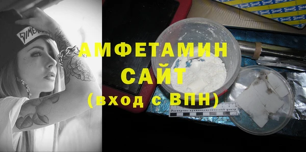 индика Нязепетровск