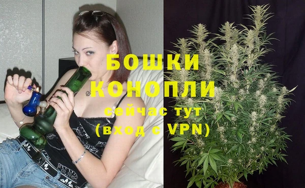 бутират Заводоуковск