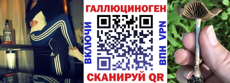 Псилоцибиновые грибы мицелий  ОМГ ОМГ ССЫЛКА  Змеиногорск 
